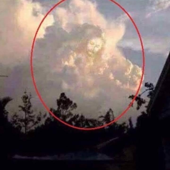 Meet your Posher, Steven - Picture 12 of 16